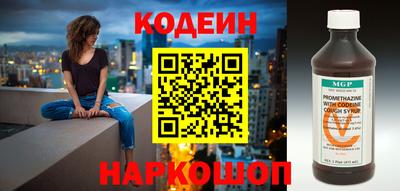 apvp Гатчина
