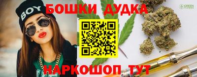 гашик Гагарин