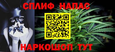 гашик Гагарин