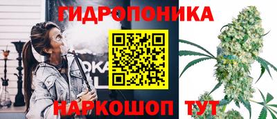 гашик Гагарин
