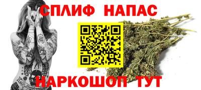 гашик Гагарин