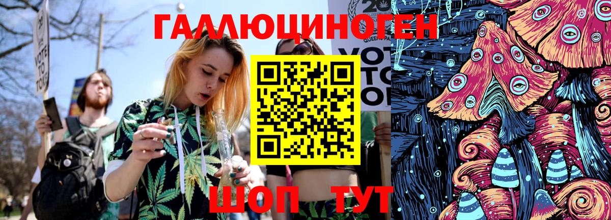 купить закладку  Вход с VPN  Псилоцибиновые грибы Magic Shrooms  Губаха  Псилоцибиновые грибы прущие грибы 