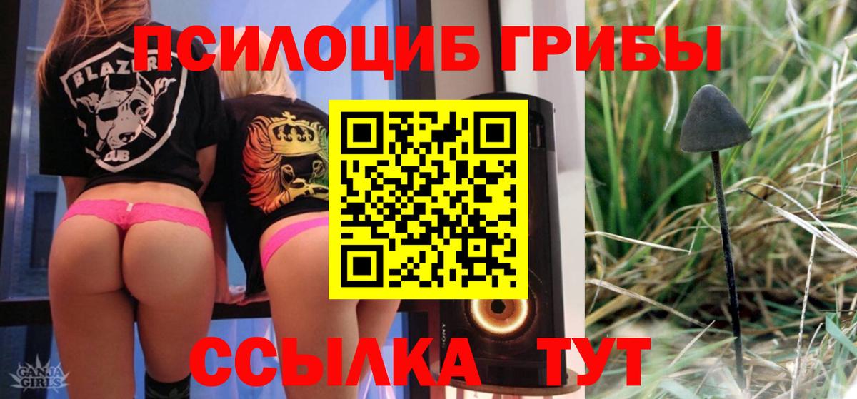 Псилоцибиновые грибы MAGIC MUSHROOMS Губаха